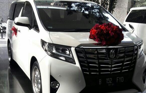 rental alphard